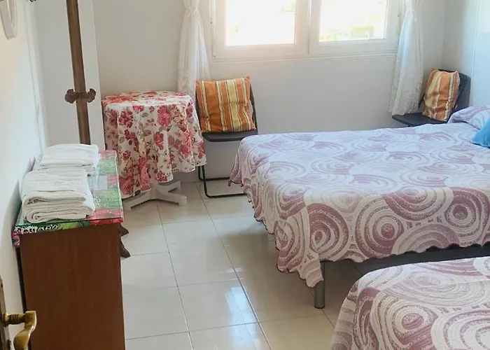 Lopez 菲尼斯特雷